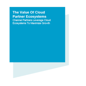 the-value-of-cloud-partner-ecosystems