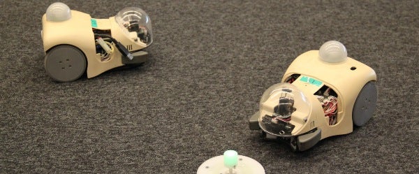 Robot mice programmed to have sex