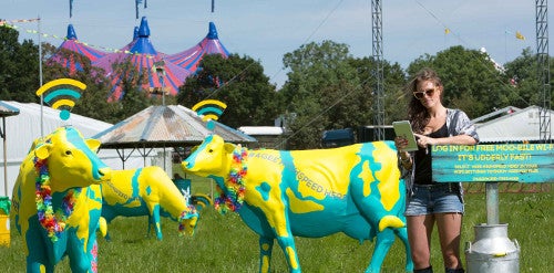 High-speed Wi-Fi cows arriving to Glastonbury this summer
