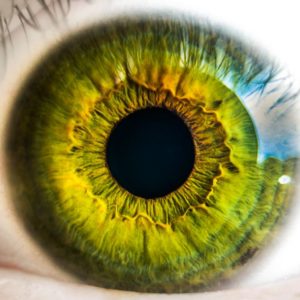 TSB eye up biometrics with new iris scanning security