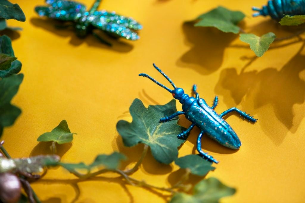Why Insects are Creating the Buzz in Drone Development