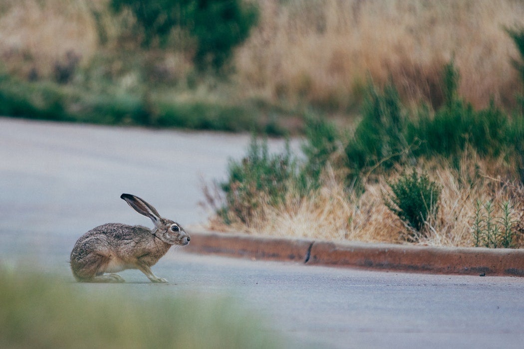 The Tortoise and the Hare: SAS on the Race Between Innovation and Privacy Under GDPR