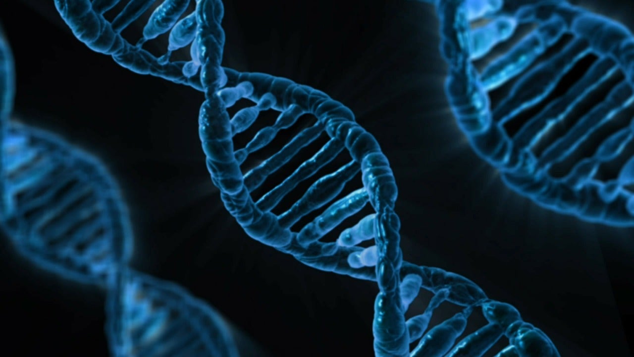 IBM Puts DNA Data on the Cloud with Ancestry Partnership