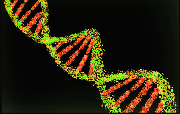 Bioinformatics and Genomics SOPHiA GENETICS Secures £60 Million