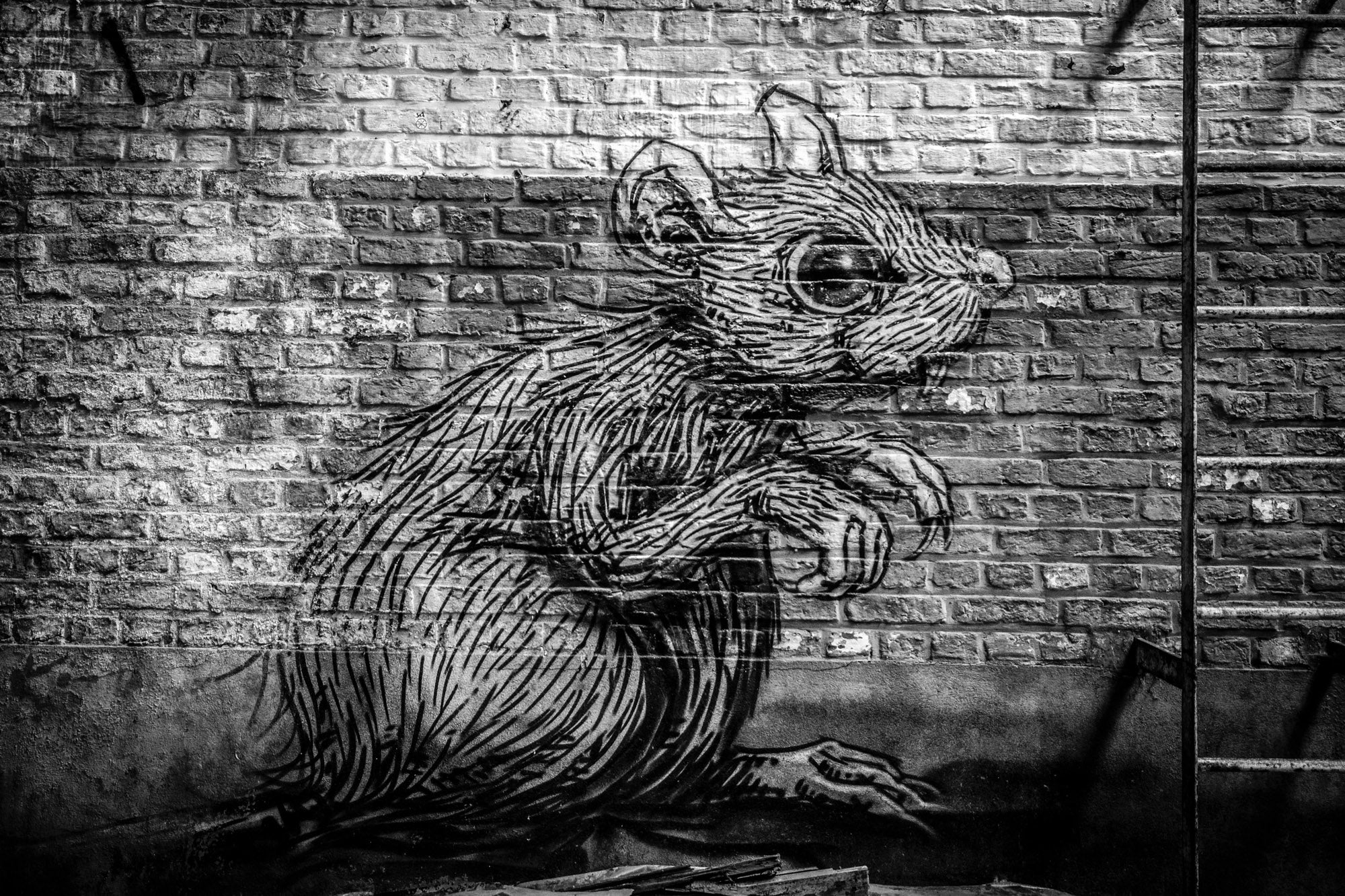 RATs and Business Email Compromise Attacks on the Rise: Proofpoint