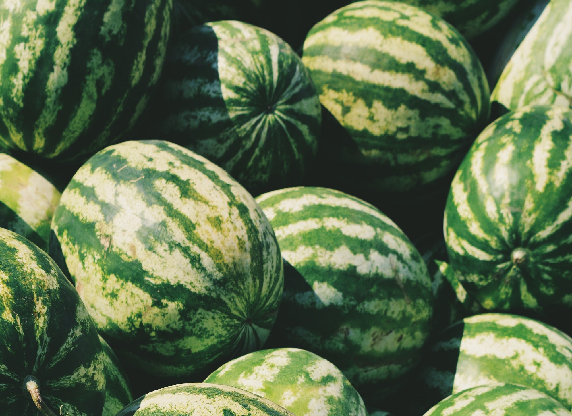 Finding and Smashing Watermelon SLAs: Four key Warning Signs