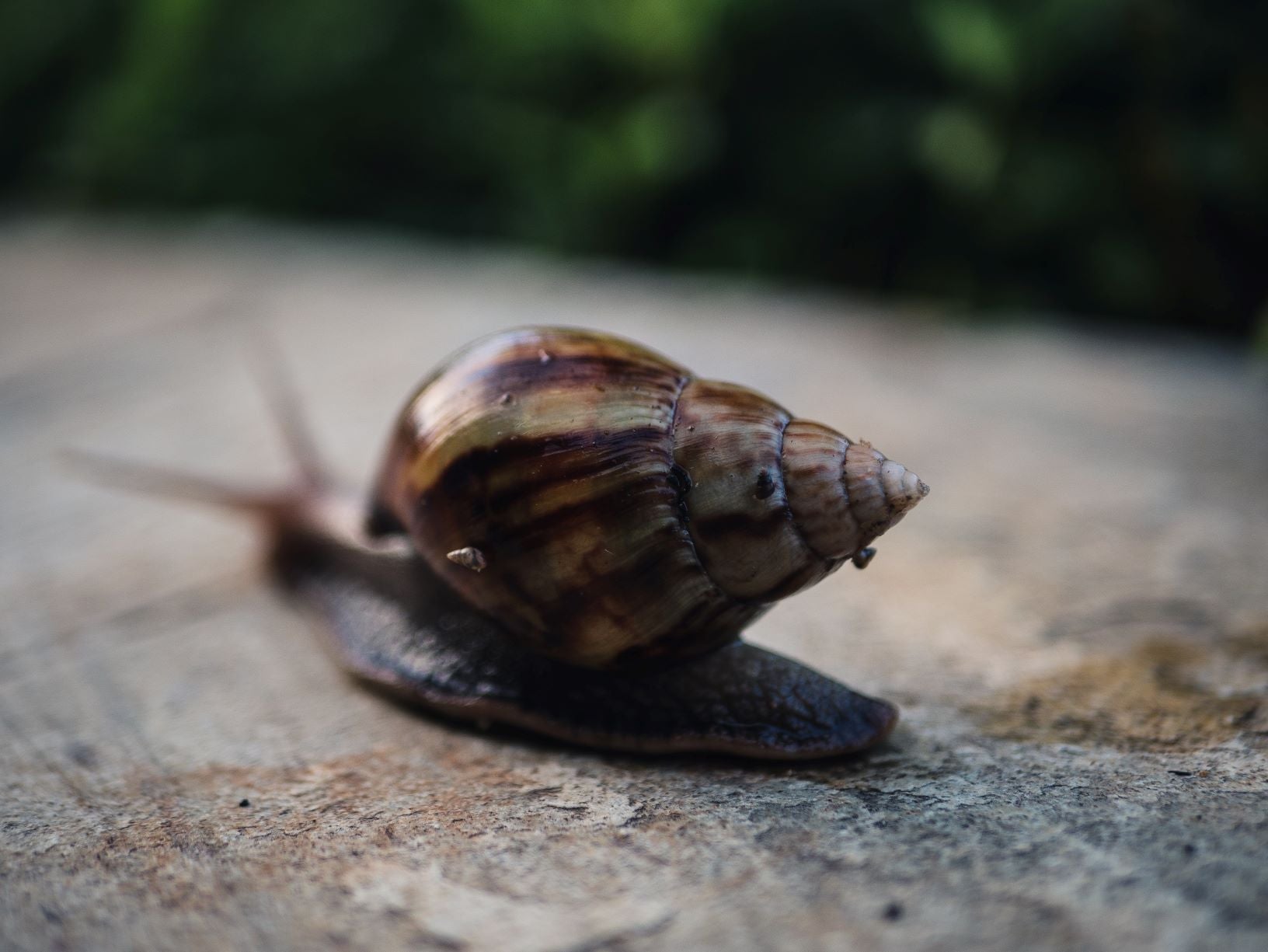 Businesses are Ditching Banking Applications over Snail's Pace KYC