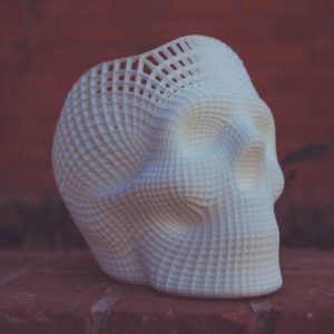 3D print fake tissue