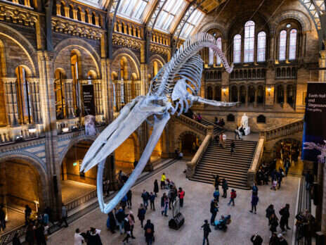 Natural History Museum CIO on building a new Data Ecosystem in the cloud