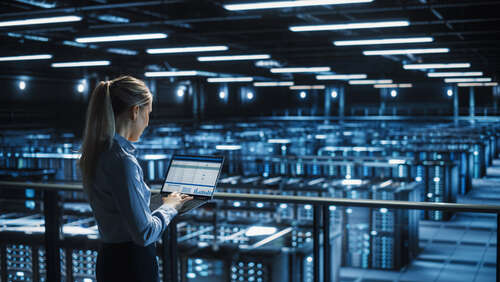 Data Centre owners are cautious when it comes to new technology, one analyst told Tech Monitor (Photo: Gorodenkoff/Shutterstock)