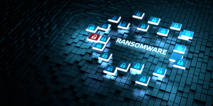 What is the difference between ransomware and malware?