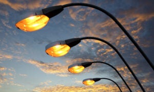 An image of street lights, lit against twilight backdrop.
