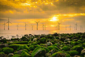 wind farm investment