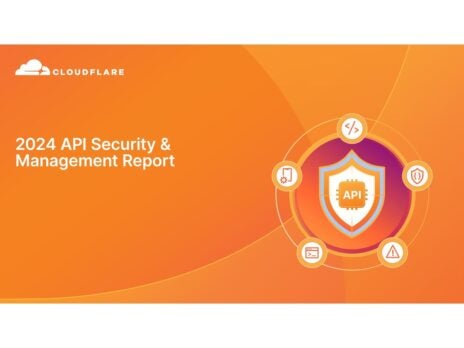 2024 API Security & Management Report